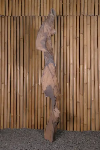 Product image of the product “Root made of teak wood about 165cm height ”